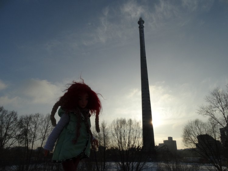 Котина прогулка. Про нашу телебашню