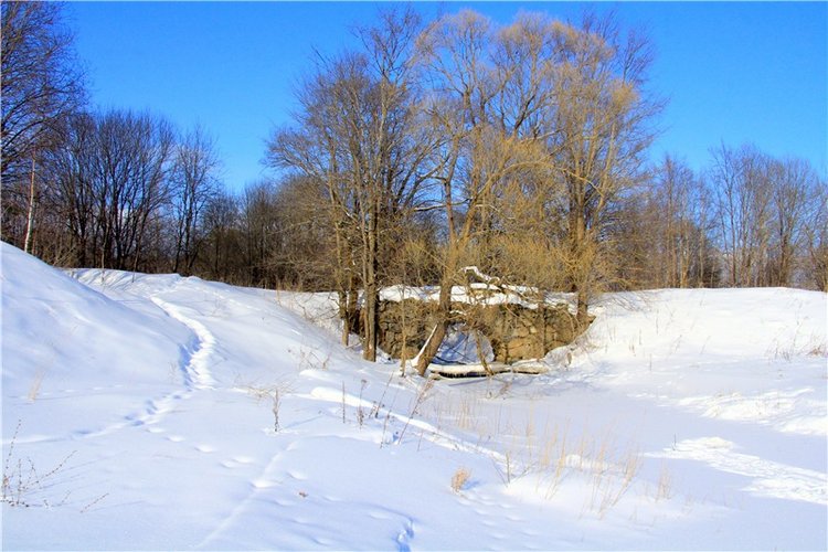 Зимняя прогулка Сони. Уникальная кукла от Сильвии Наттерер