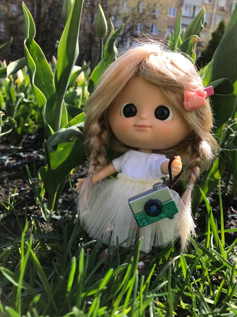 Как мы фотографировали улитку с Mui-chan (фото 2)