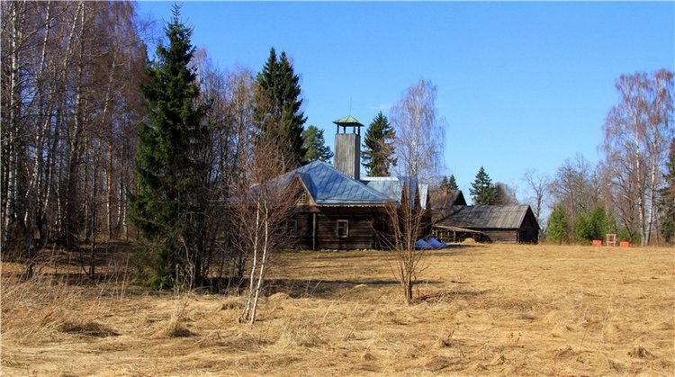 Апрельский день в Василёво, заключительная часть (фото 8)