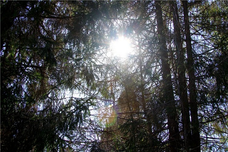 Апрельский день в Василёво, третья часть