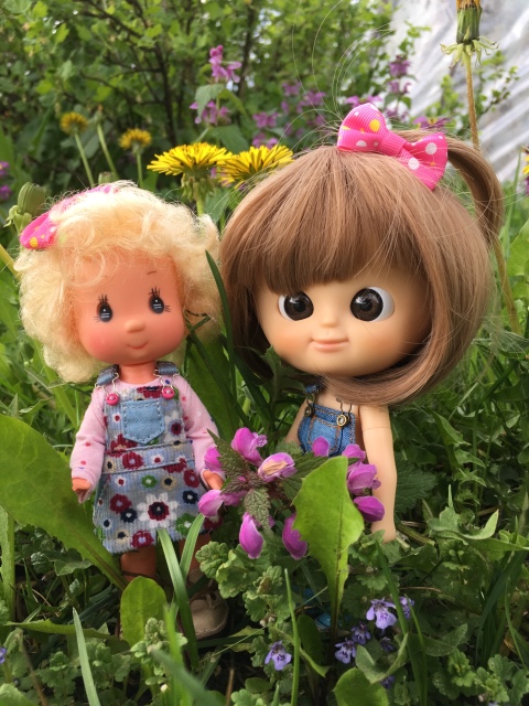 Поездка на дачу с Mui-chan, Migliorati и Sonny angel