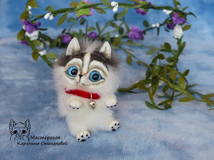 Малыш Хаски, крошка на ладошке. А может Хаски на Аляске? Или Хаски голубые глазки