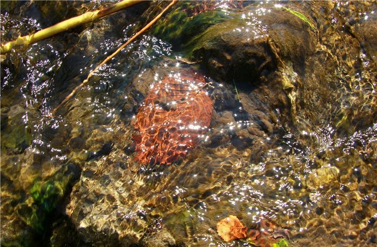 Старицкая Швейцария. Путешествие Мии. Minifee Miyu FairlyLand | Бэйбики Старицкая Швейцария. Путешествие Мии. Minifee Miyu FairlyLand
