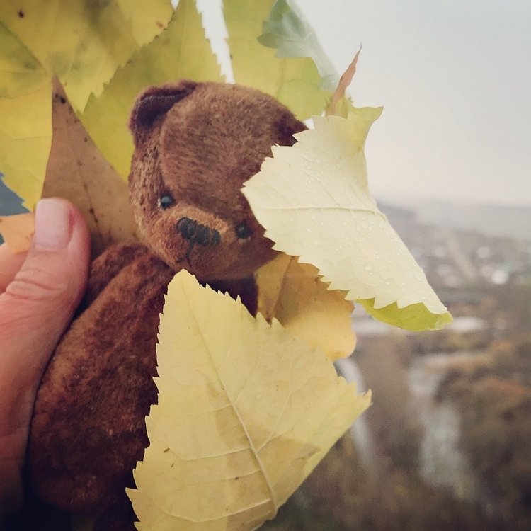 Авторский мишутка и куколки ГДР