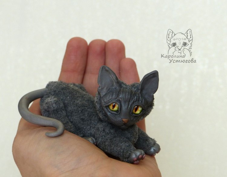 Миниатюрные серые Сфинксы