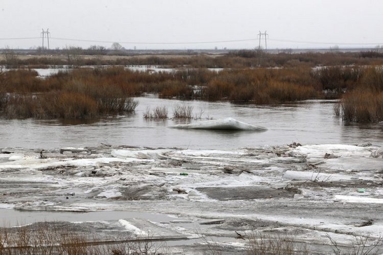 30 марта — народный праздник Алексей Теплый