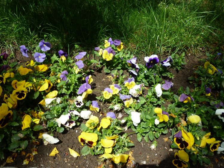 Сочи-Адлер: Южное Взморье - Мои любимые куколки на отдыхе