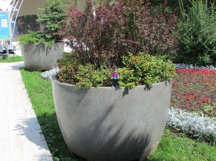 Малышня на прогулке в Бирюлёвском дендропарке