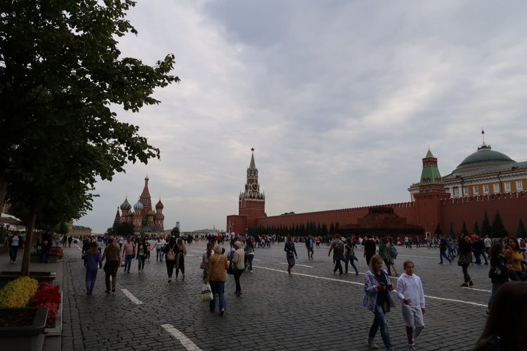 Знакомьтесь, новый вид медведей - медведь сумочный