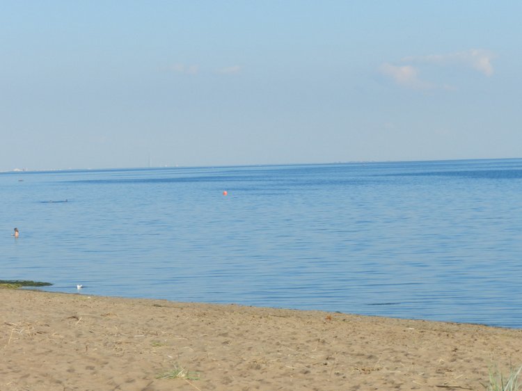 Немного позитива с Финского залива