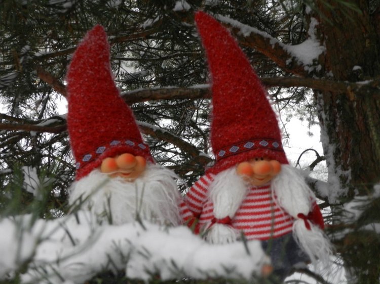 Наши зимние прогулки. Сабрина от Zawieruszynski