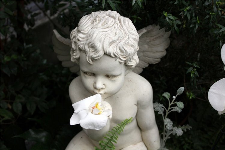 Тверской Ботанический Сад, продолжение | Бэйбики Тверской Ботанический Сад, продолжение (фото 3)