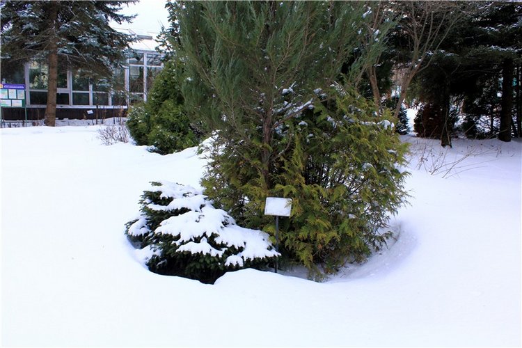 Тверской Ботанический Сад, заключительная часть