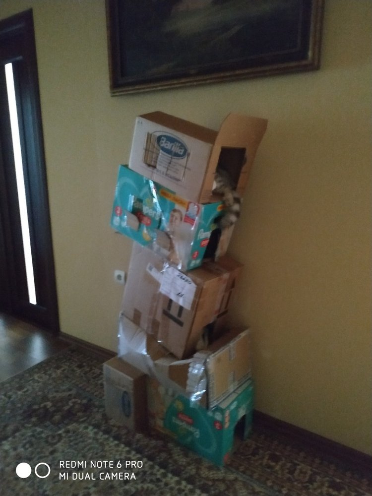 Гостей с такими подарками надо гнать поганой метлой! Или не надо (фото 4)