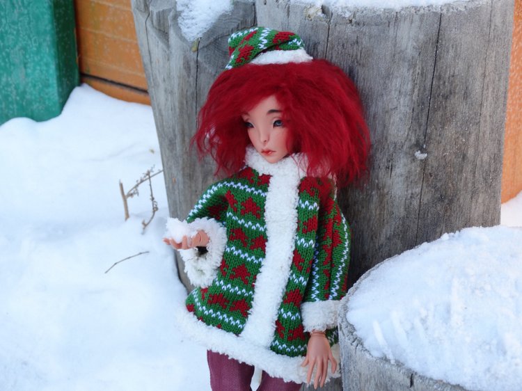 Зимне-новогодние фото Коти