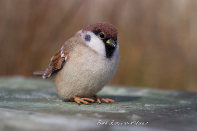 Воробушки — Валяные игрушки из шерсти: сухое валяние