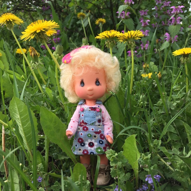 Поездка на дачу с Mui-chan, Migliorati и Sonny angel