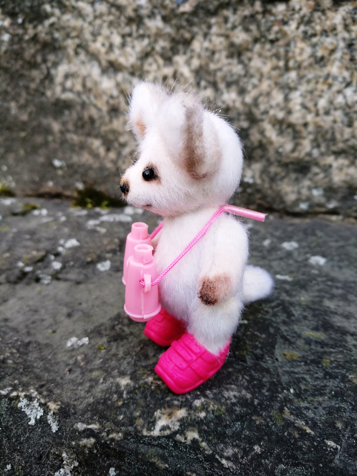 Тайна моего имени. Часть третья. Обидно, когда тебе никто не верит