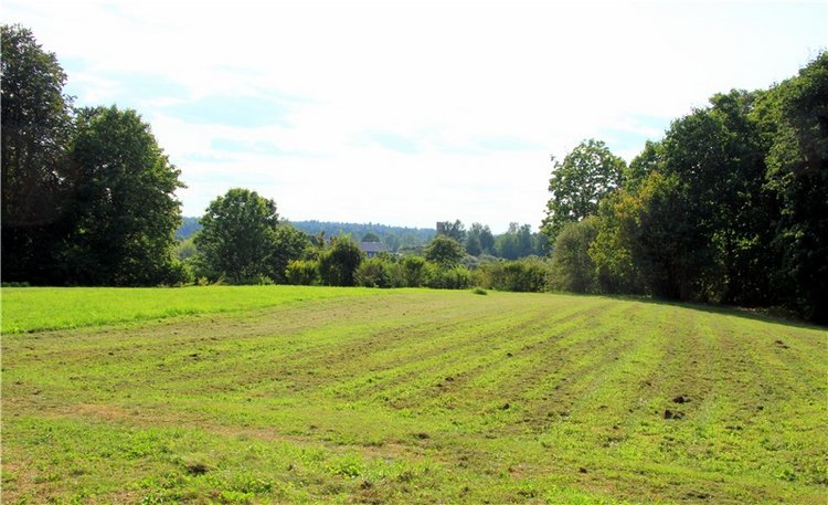 Августовская прогулка в Берново. Zwergnase Mischa