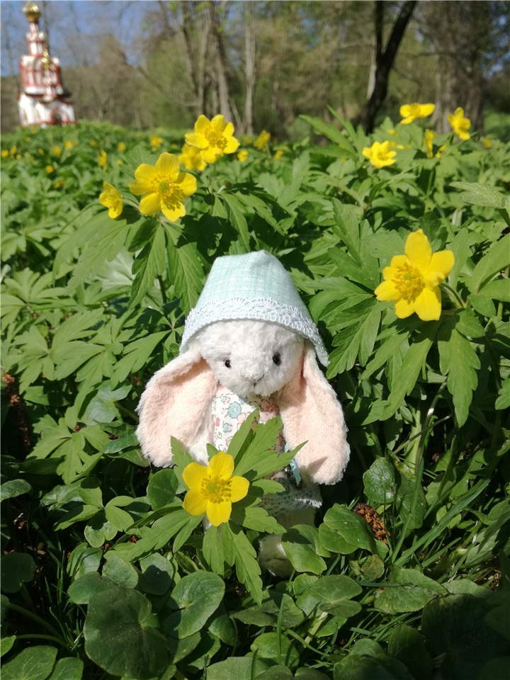 Один раз в год сады цветут