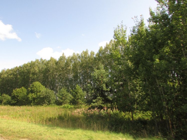 Путешествие в Нижегородскую область - часть 1 - Дивеево (Дивеевский монастырь) (фото 8)