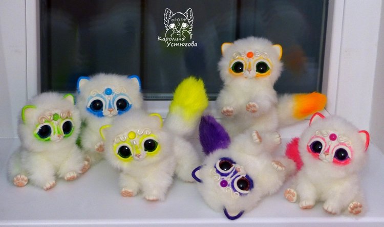 Королевские волшебные коты, породы: Мирис. В кадре и за кадром. Процесс (фото 10)