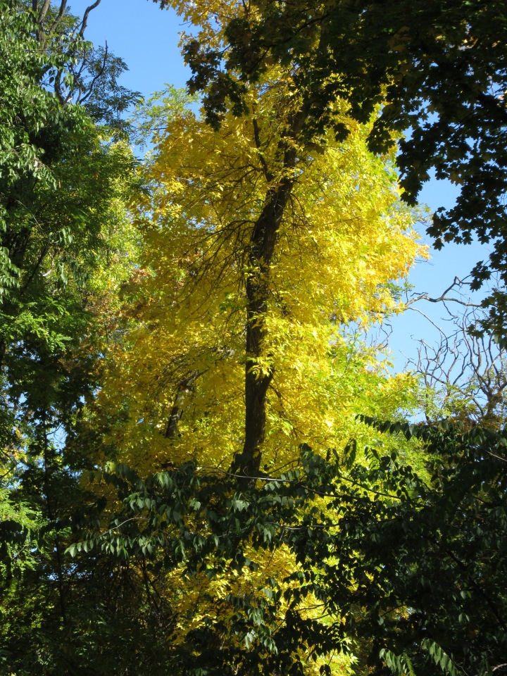 Выходной с Хеленой в Таганроге