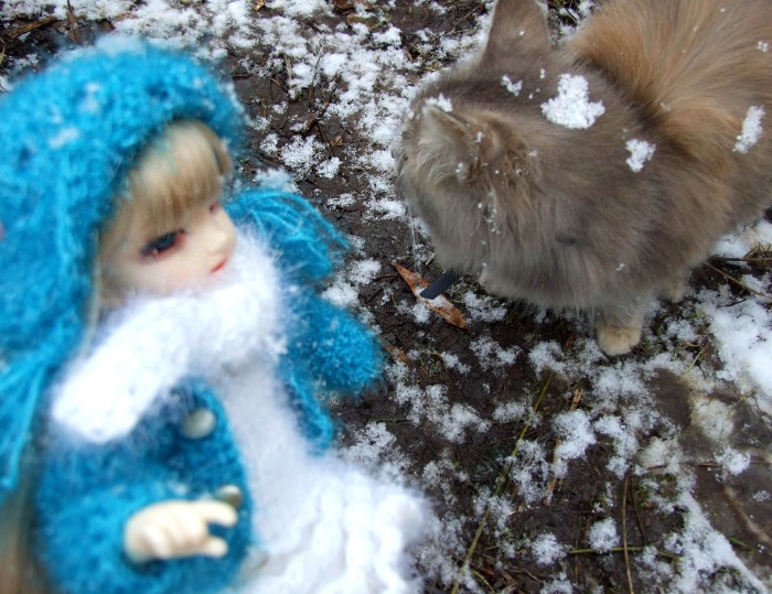 Утром кот принёс на лапах первый снег (фото 3)