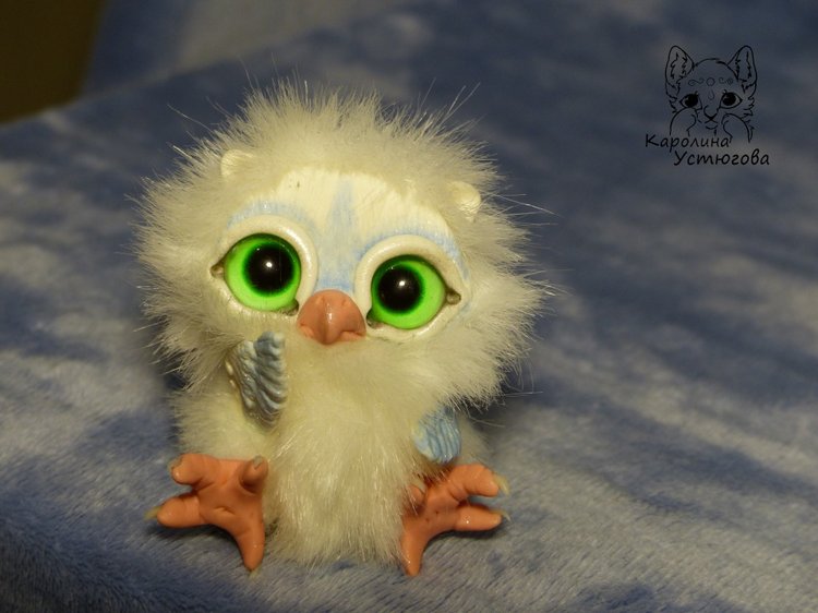 Совята в ожидании Новогодних праздников