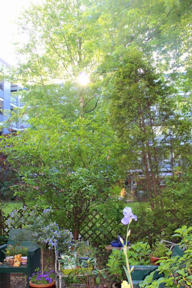 Любовь нечаянно нагрянет — Фэшн