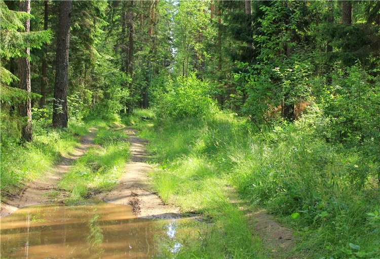 Путешествие Эли на красивый берег реки Волги