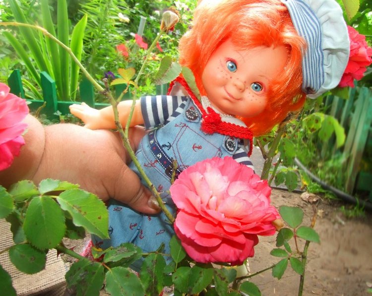 От сердца и почек дарю вам цветочек | Бэйбики От сердца и почек дарю вам цветочек