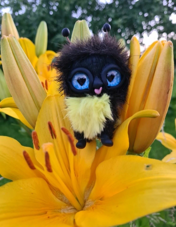 Шмелечек в новом доме. Яркие фотографии из жизни Шмеля (фото 9)