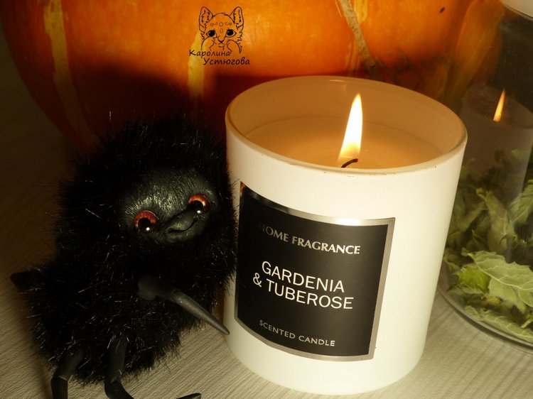 Halloween и маленькие паучки (фото 10)