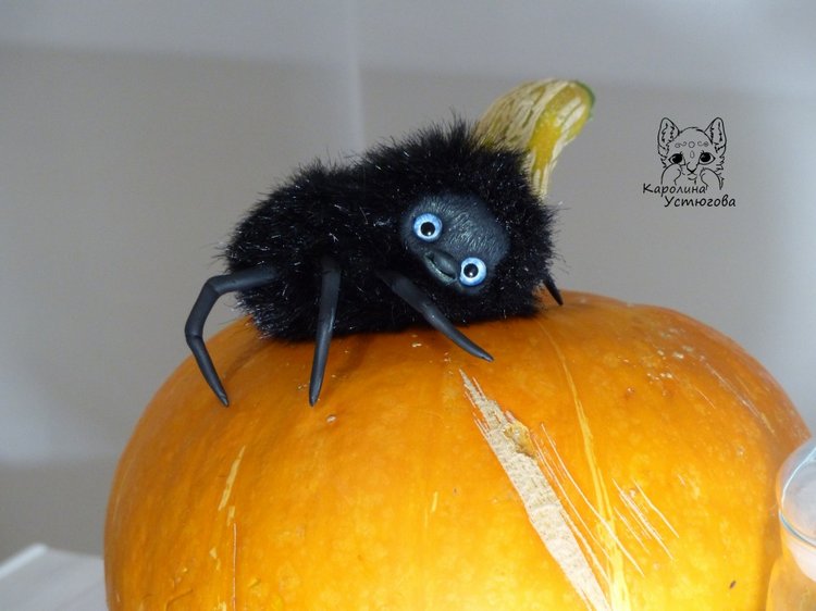Halloween и маленькие паучки