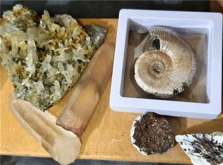 Выставка "Самоцветы Мира" в Твери, продолжение