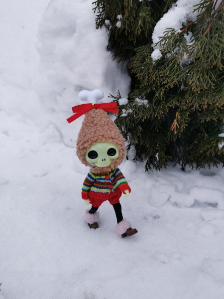 Лягушка Ванда и все-все-все (фото 4)