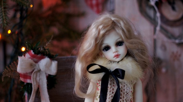 Новогодний вечер — Другие хобби и увлечения: сад