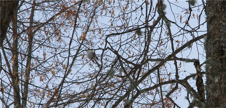 Снежный Март — Туризм и путешествия: фотоотчеты из поездок