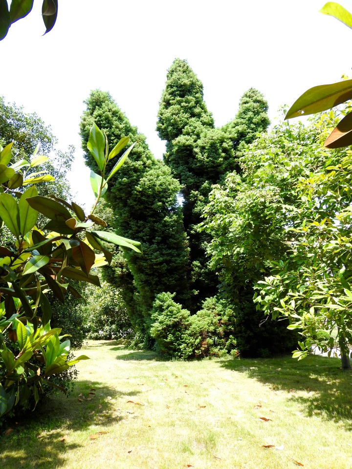 Краснодарский Край, Сочи-Адлер, Санаторий «Южное Взморье»