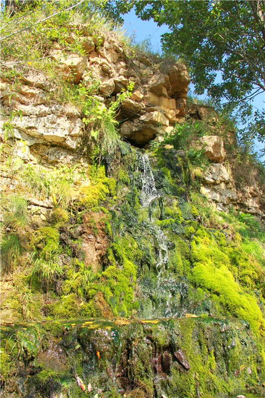 Инопланетянка Нийя. Custom Blythe Doll UFO Go Go Takara