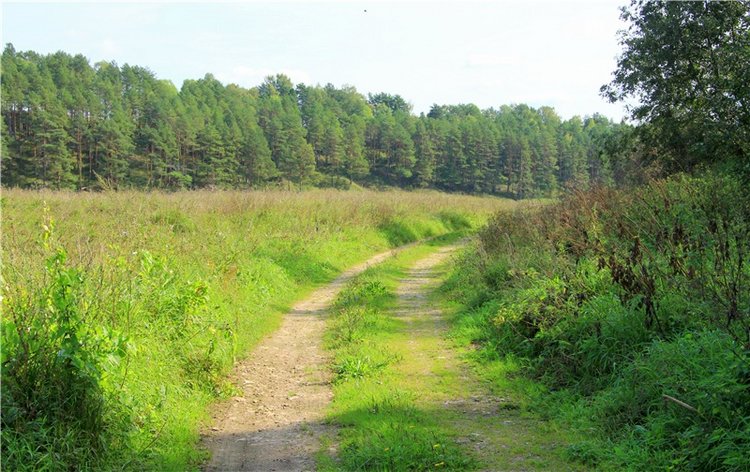 Старицкая Швейцария. Путешествие с Сашей, продолжение. Уникальная кукла от Сильвии Наттерер
