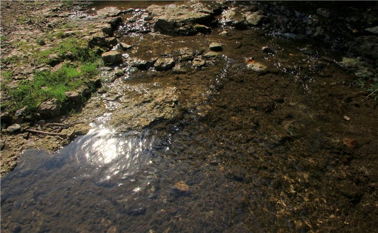 Старицкая Швейцария. Путешествие с Сашей, продолжение. Уникальная кукла от Сильвии Наттерер