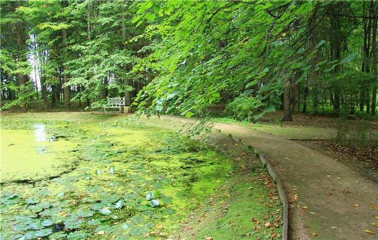 Августовская прогулка в Берново. Zwergnase Mischa