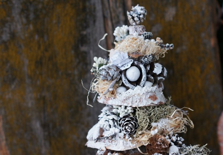 Елочка — Другие хобби и увлечения: сад (фото 7)