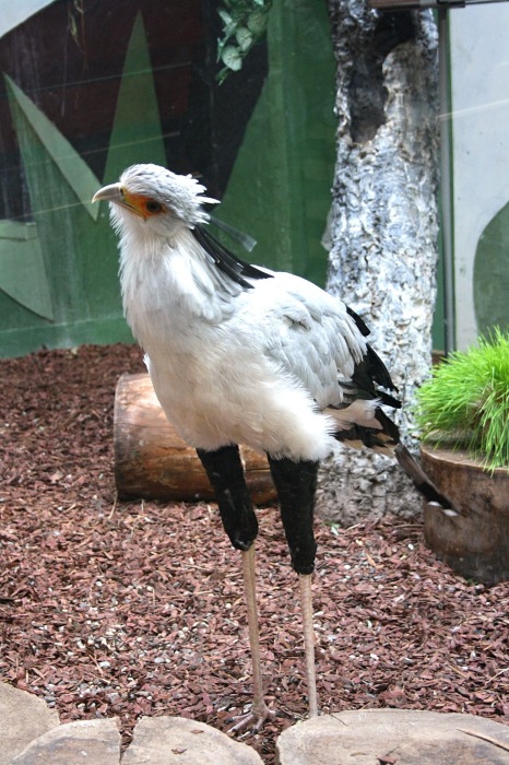 Московские каникулы. Часть 1