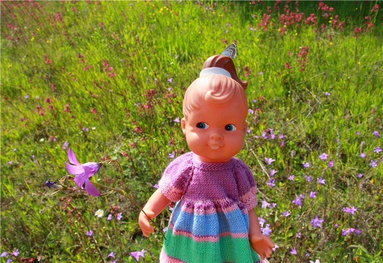 Встреча с бабочкой — Винтажные куклы ГДР (Немки): Бигги