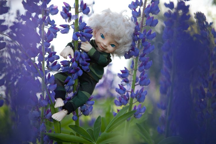 Эльфики в Гвоздёво | Бэйбики Эльфики в Гвоздёво — Куклы Fairyland (ФэйриЛэнд): BJD (БЖД) (фото 5)