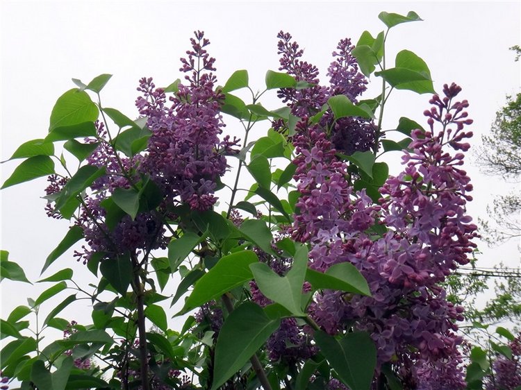 Милый мой город. Прогулка по Твери, заключительная часть